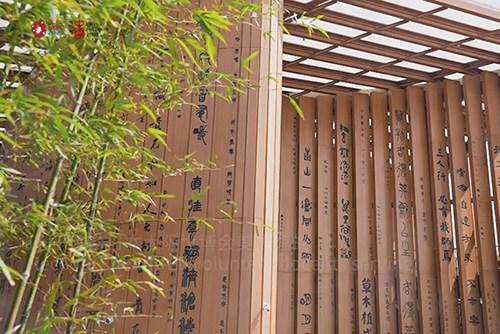 大阪世博會(huì)——兩國(guó)青年開啟一場(chǎng)跨文化對(duì)話之旅